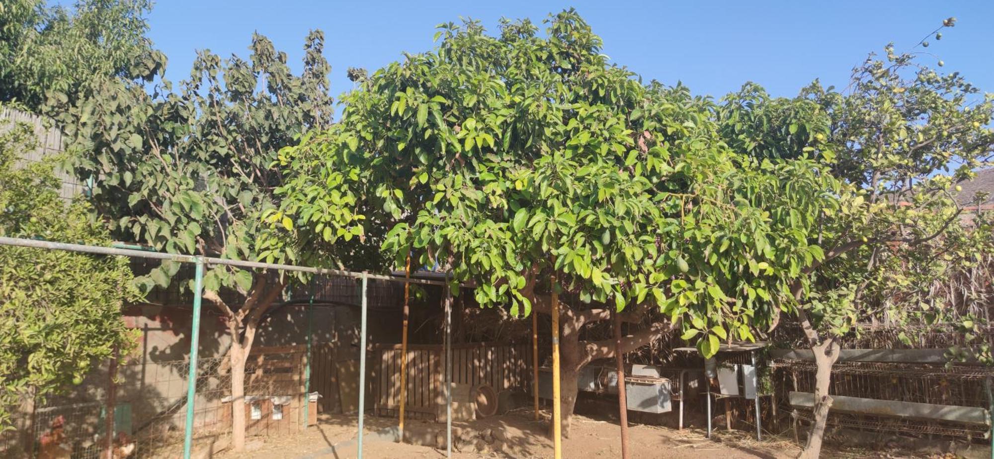 Casita Leos Apartment Agüimes Екстериор снимка